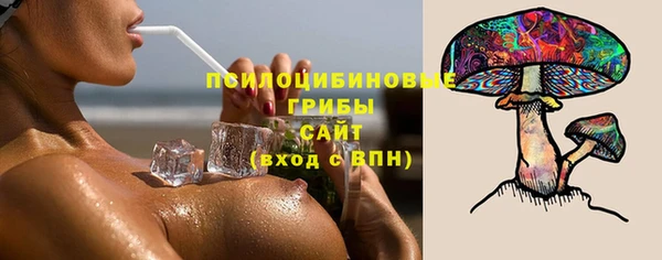шишки Касимов