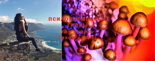 молекула духа Кинешма