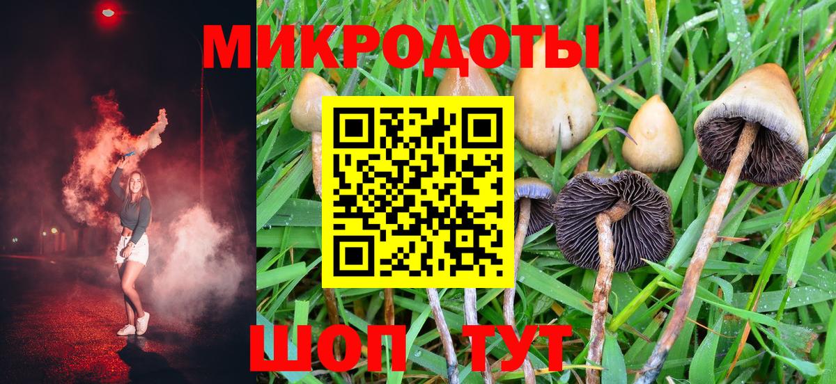 Галлюциногенные грибы Cubensis  Вход с VPN  Качканар 