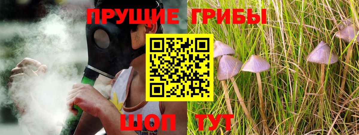 Псилоцибиновые грибы GOLDEN TEACHER Качканар
